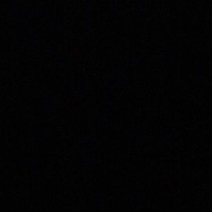 Meet your Posher, Riley